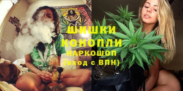 скорость Богородск