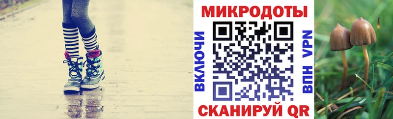 Псилоцибиновые грибы прущие грибы  Новое Девяткино 